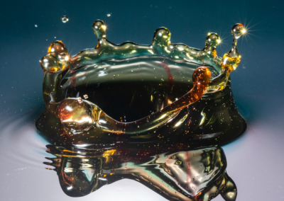 ACEITES DE GUÍAS ADHERENTES