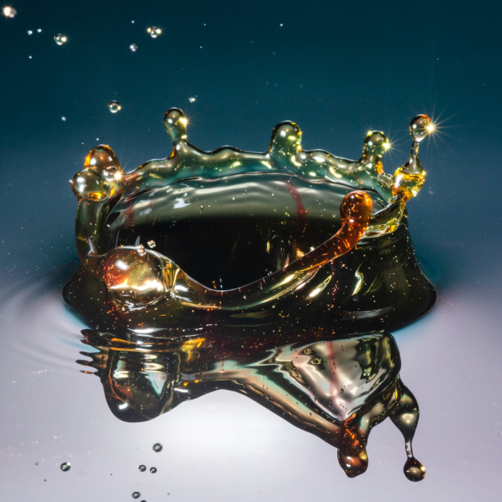 ACEITES DE GUÍAS ADHERENTES